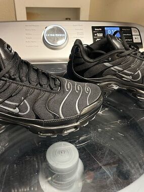 Nike Black & Silver Air Max Plus TN Mesh Sneakers